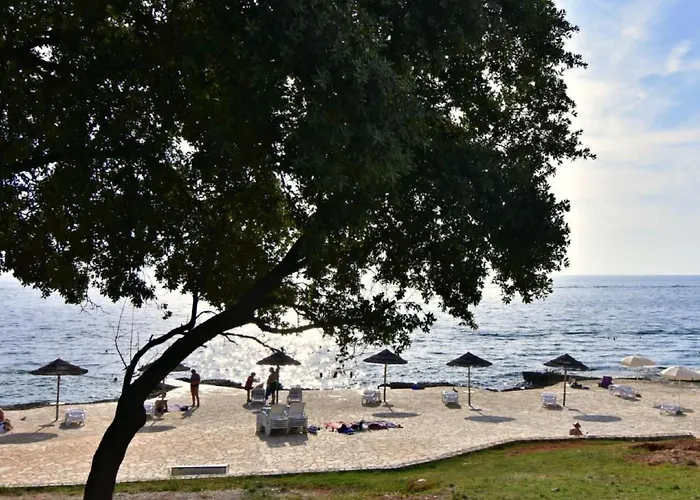 Noa1 Tar By Interhome *